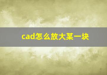 cad怎么放大某一块