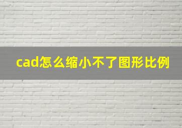 cad怎么缩小不了图形比例