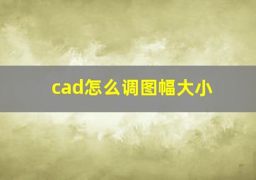 cad怎么调图幅大小