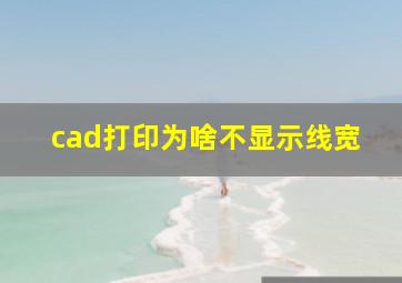 cad打印为啥不显示线宽