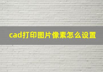 cad打印图片像素怎么设置