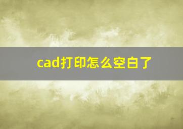 cad打印怎么空白了