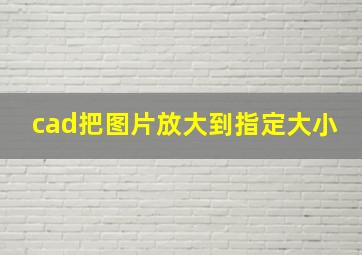 cad把图片放大到指定大小