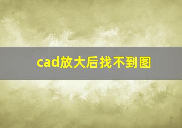 cad放大后找不到图