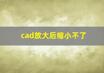 cad放大后缩小不了