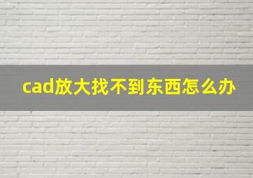 cad放大找不到东西怎么办