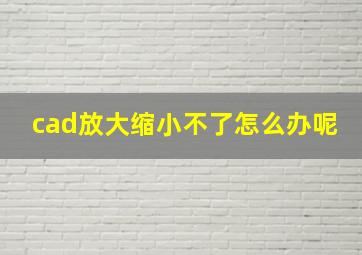 cad放大缩小不了怎么办呢