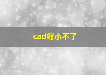 cad缩小不了