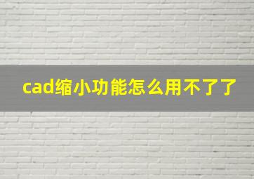 cad缩小功能怎么用不了了