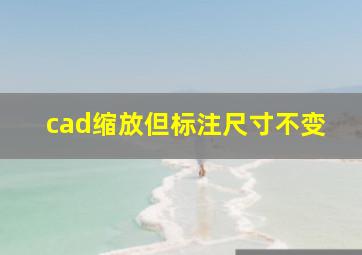 cad缩放但标注尺寸不变