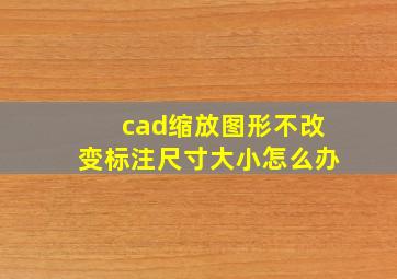 cad缩放图形不改变标注尺寸大小怎么办