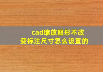 cad缩放图形不改变标注尺寸怎么设置的