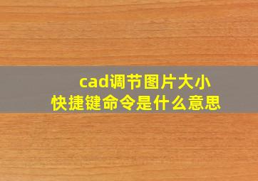 cad调节图片大小快捷键命令是什么意思