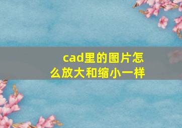 cad里的图片怎么放大和缩小一样