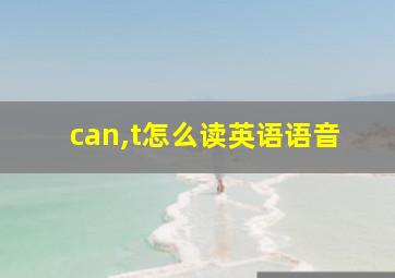 can,t怎么读英语语音