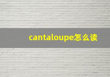 cantaloupe怎么读