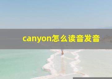 canyon怎么读音发音