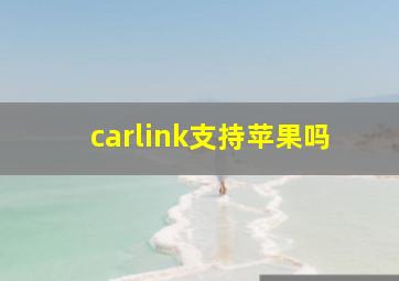 carlink支持苹果吗