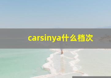 carsinya什么档次