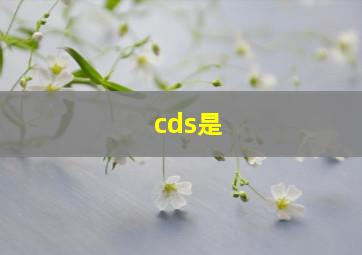 cds是