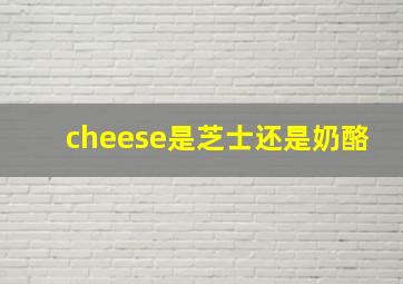 cheese是芝士还是奶酪