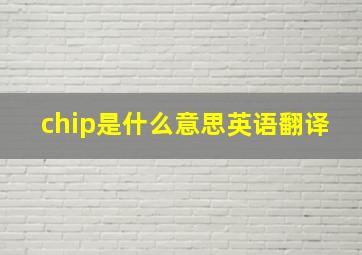 chip是什么意思英语翻译