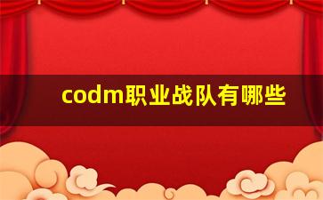 codm职业战队有哪些