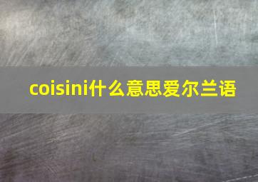 coisini什么意思爱尔兰语