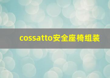 cossatto安全座椅组装