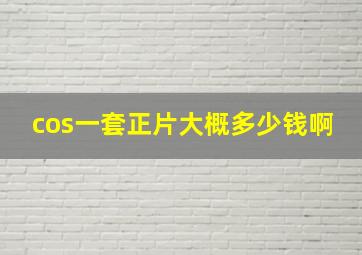 cos一套正片大概多少钱啊