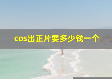 cos出正片要多少钱一个