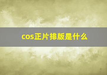 cos正片排版是什么