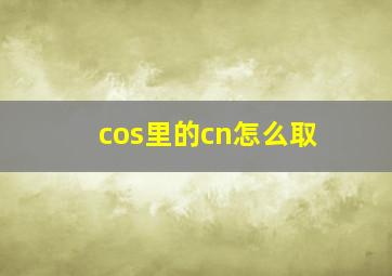 cos里的cn怎么取