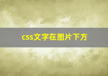 css文字在图片下方