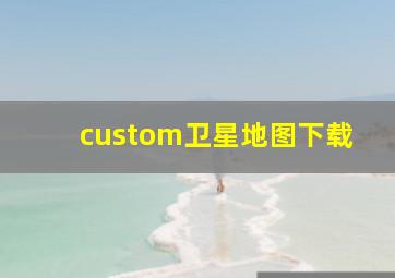 custom卫星地图下载