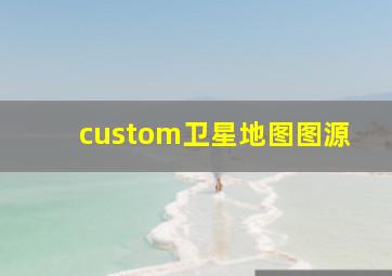 custom卫星地图图源