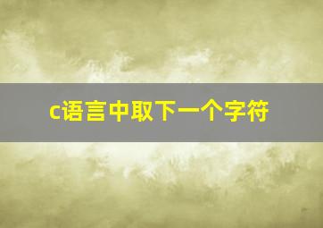 c语言中取下一个字符