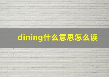 dining什么意思怎么读