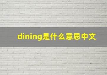 dining是什么意思中文