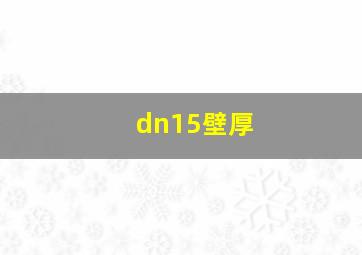 dn15壁厚