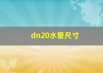 dn20水管尺寸