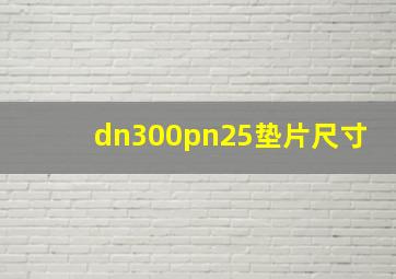 dn300pn25垫片尺寸