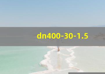 dn400-30-1.5