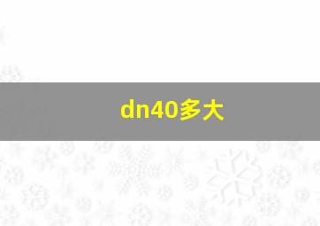 dn40多大