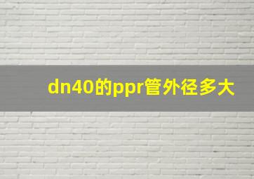 dn40的ppr管外径多大