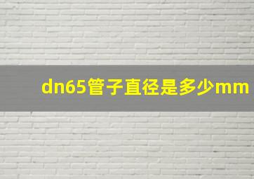 dn65管子直径是多少mm