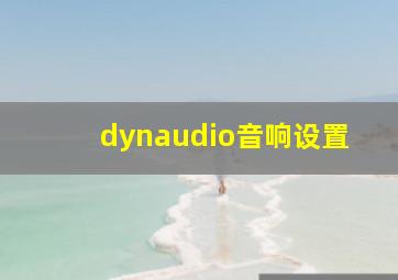 dynaudio音响设置