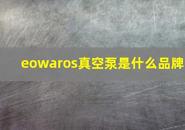 eowaros真空泵是什么品牌