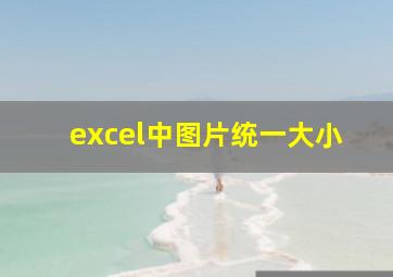 excel中图片统一大小