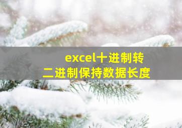 excel十进制转二进制保持数据长度